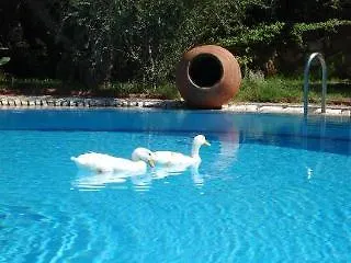 Hotel Antik Zeytin Bio Göltürkbükü
