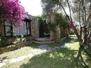 Antik Zeytin Bio *