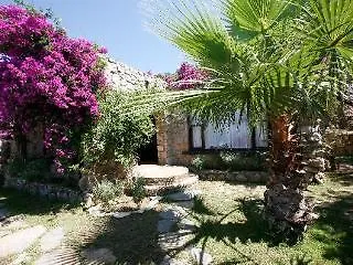 Antik Zeytin Bio * Göltürkbükü