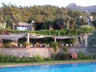 Hotel Antik Zeytin Bio Golturkbuku